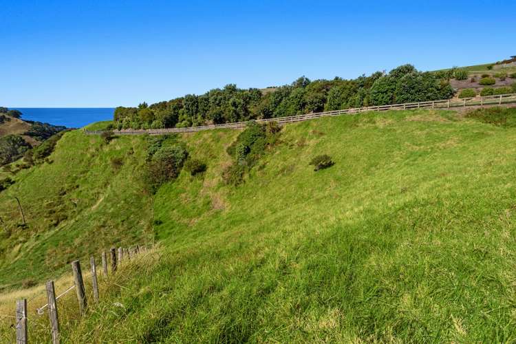 86a Mimiha Ridge Road Matata_10