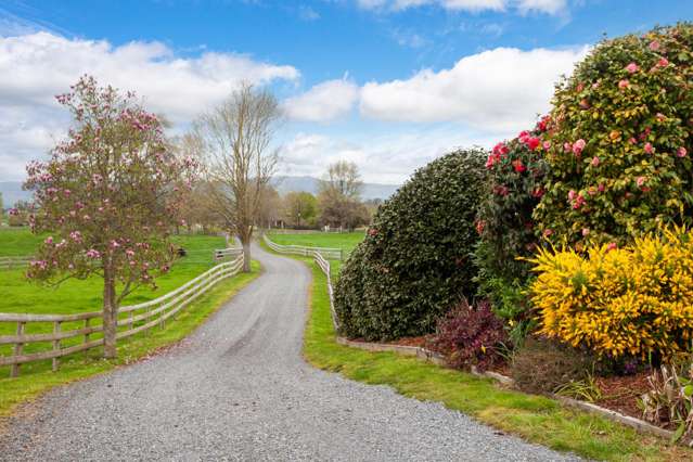 115 Gunn Road Matamata_1