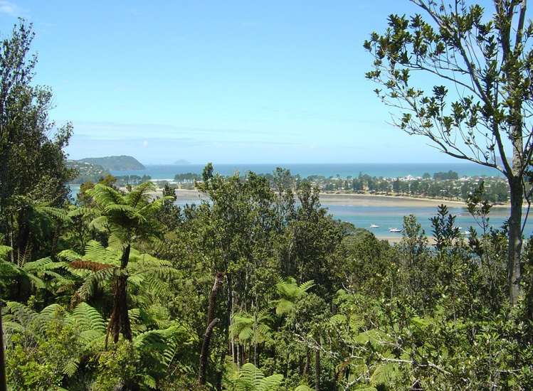 48 Tairua Heights Tairua_4