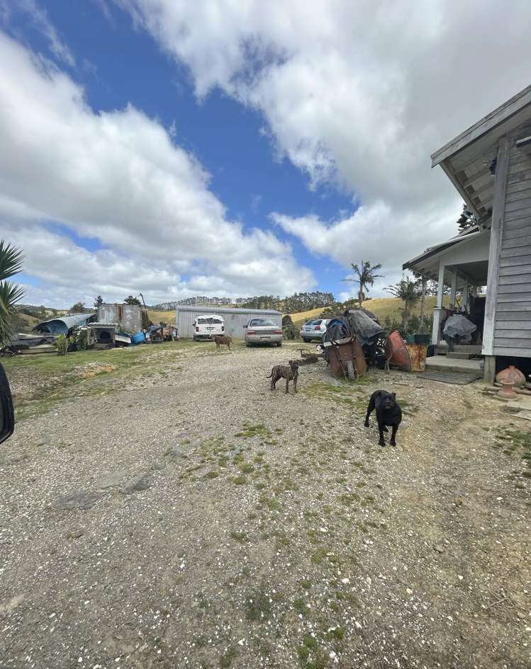 498 Pekerau Road Karikari Peninsula_8