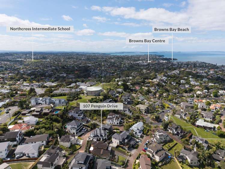 107 Penguin Drive Murrays Bay_48