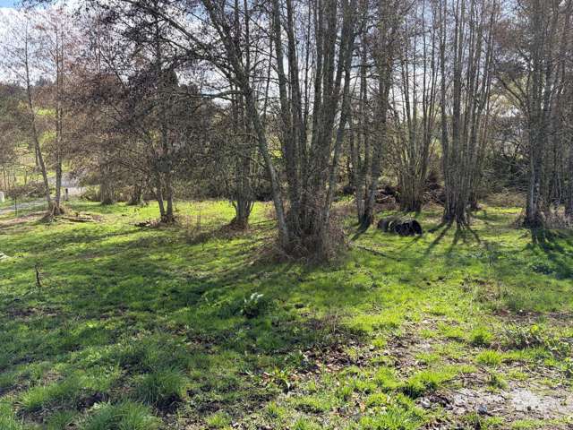 23 Ellis Road Benneydale Te Kuiti_2