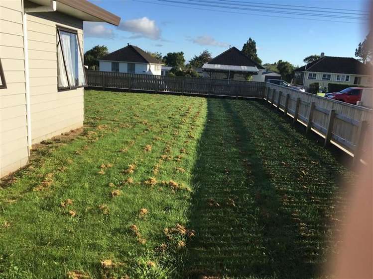 71a Rata Street Inglewood_8