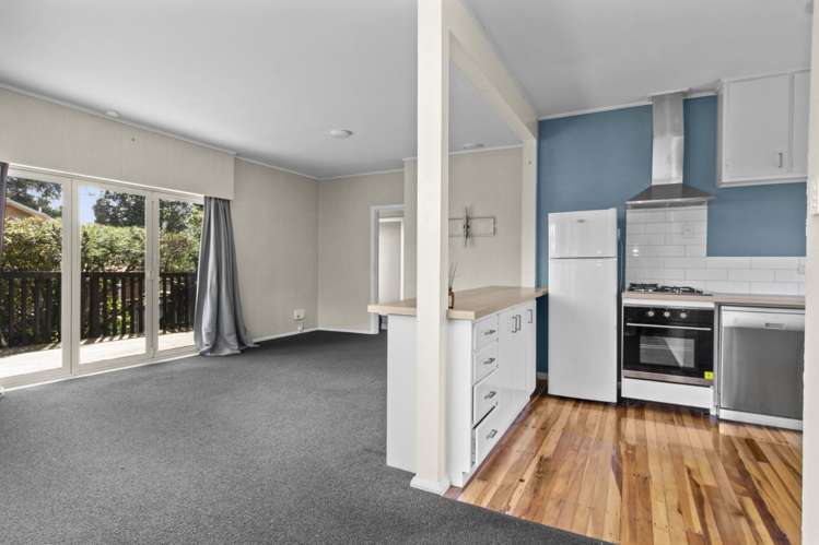 8 Alison Street Hamilton Lake_6