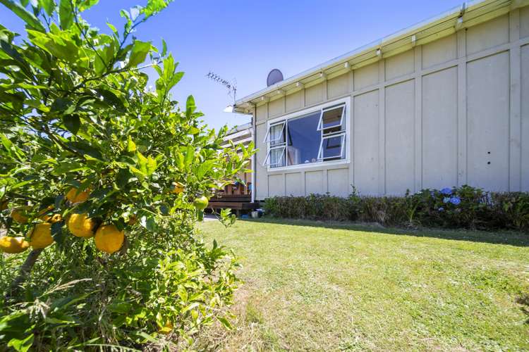 5 Harriet Place Spotswood_15