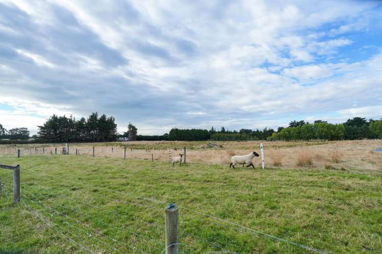 385 and 401 McQuarrie Street Tisbury_29