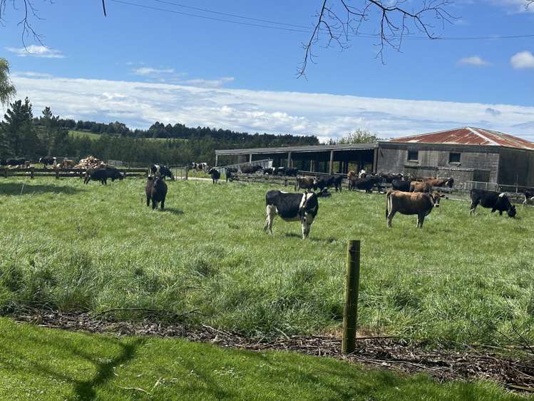 120 Roughan Road Te Tipua_13