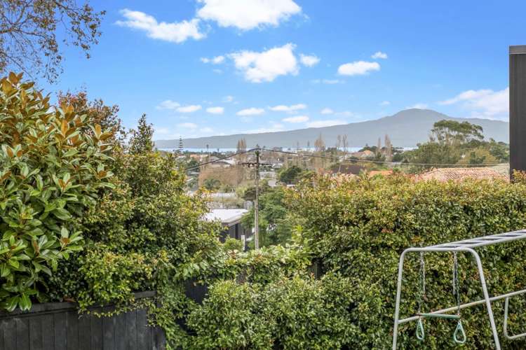 19 Grampian Road Saint Heliers_18