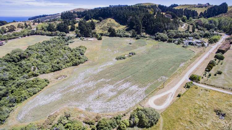 371 Cathedral Road Domett_7