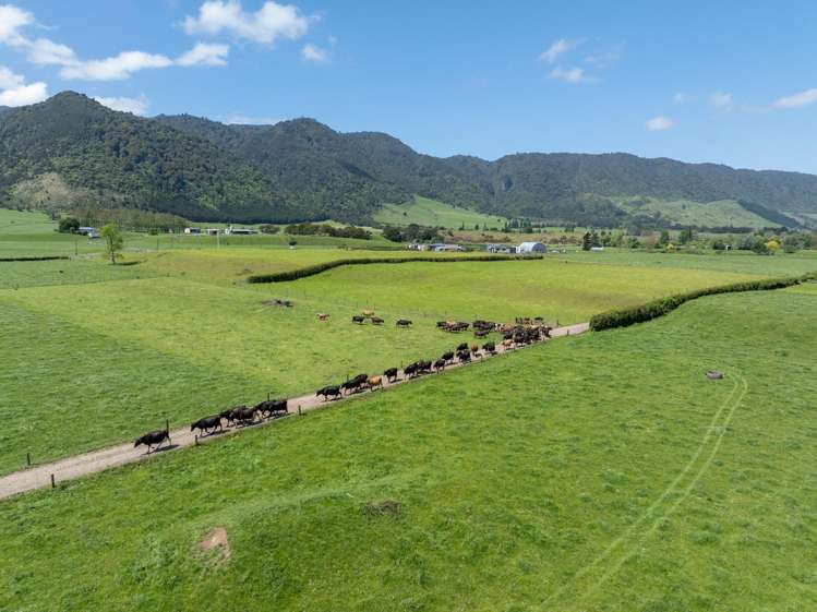 2031 Old Te Aroha Road Matamata-piako Surrounds_3