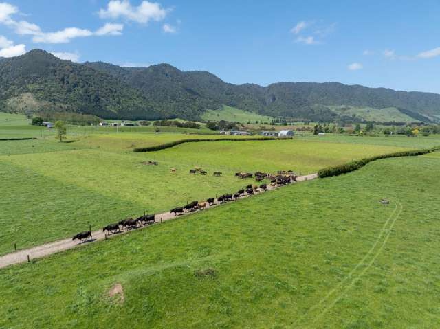 2031 Old Te Aroha Road Matamata-piako Surrounds_3