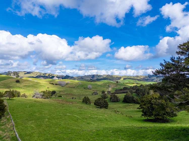 325b Haruru Road Wainui_13