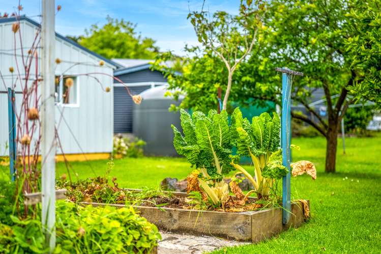 15 Beresford Street Russell_7