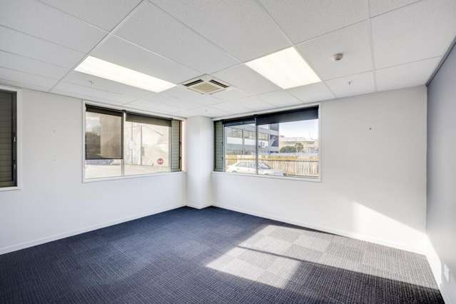 105b Raffles Street Napier South_4