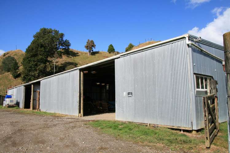 4869 Ohura Road Pohokura_17