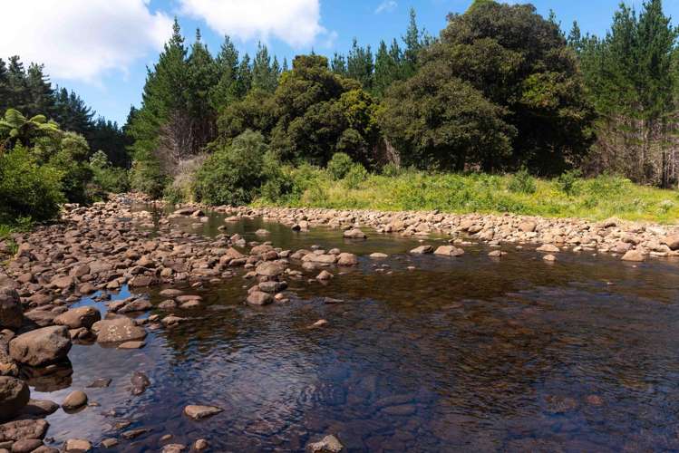 1312 Wekaweka Road Waimamaku_11