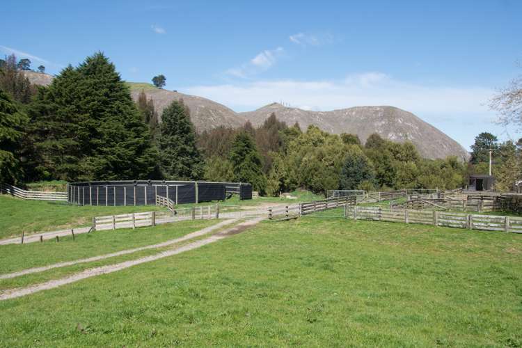 44 Coates Road Waikite Valley_19