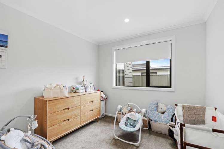 15 Nathan Lane Masterton_15