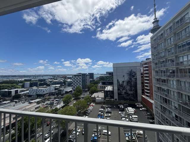 Ready to move in - fully furnished city apartment