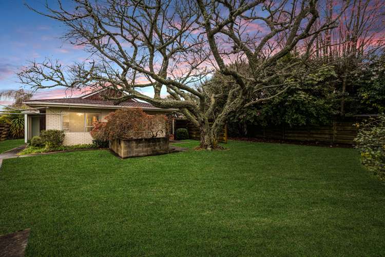 23 Glen Lynne Avenue Queenwood_11