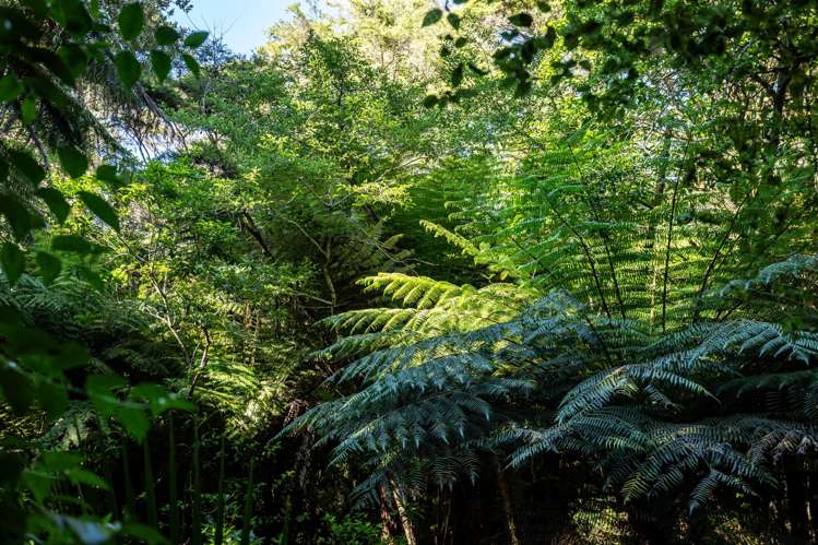 104 Taiwawe Lane Hot Water Beach_13