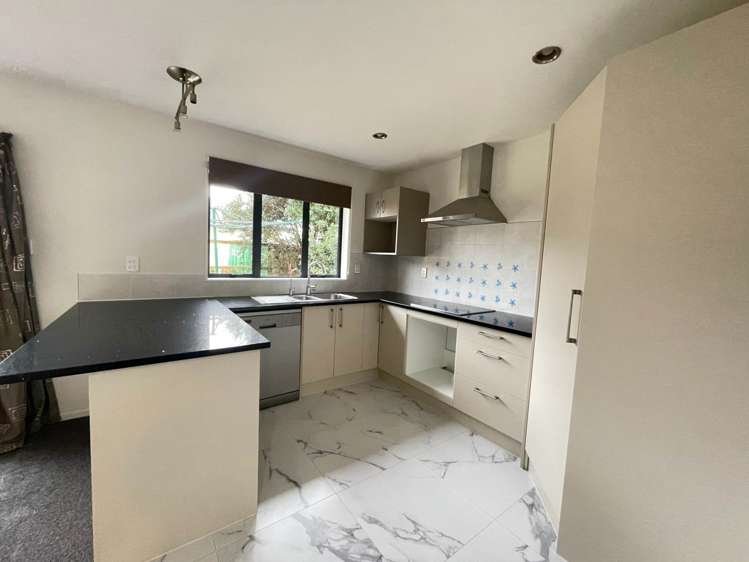 27a Don Buck Road Massey_0