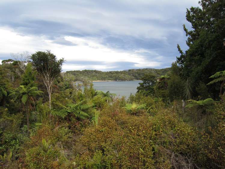 399 Prices Inlet Coast Stewart Island/Rakiura_5