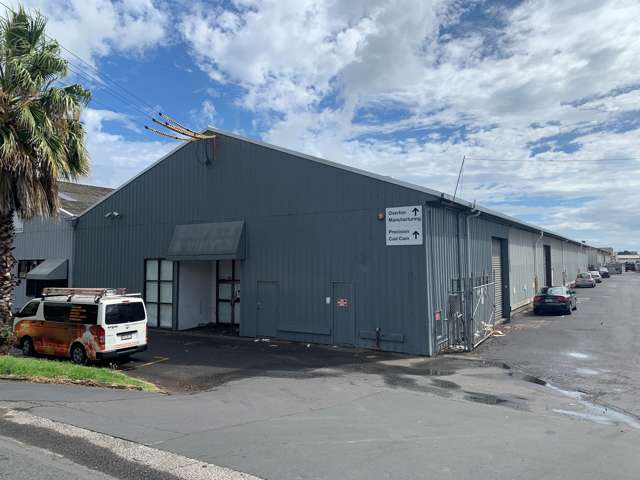 103 Jellicoe Road Panmure_2