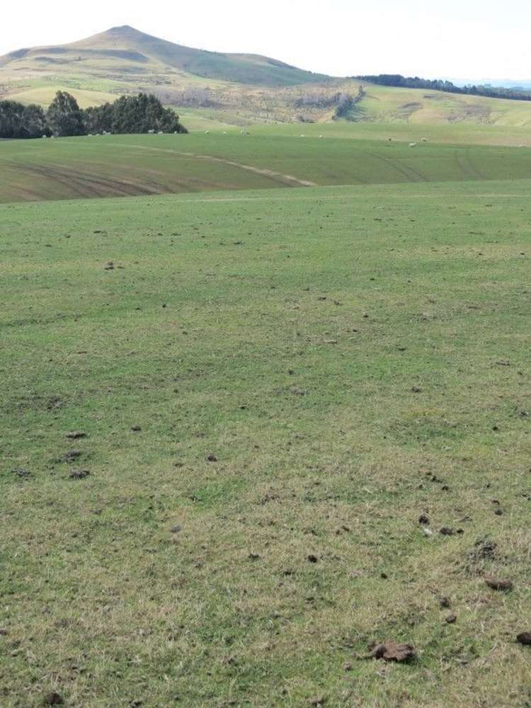 649 Kauru Hill Road Five Forks and Surrounds_35