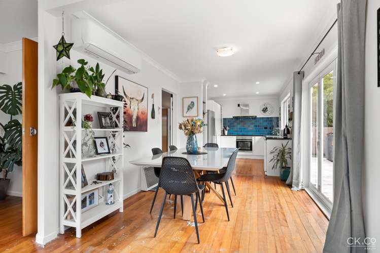 13 Kahikatea Lane Brown Owl_8