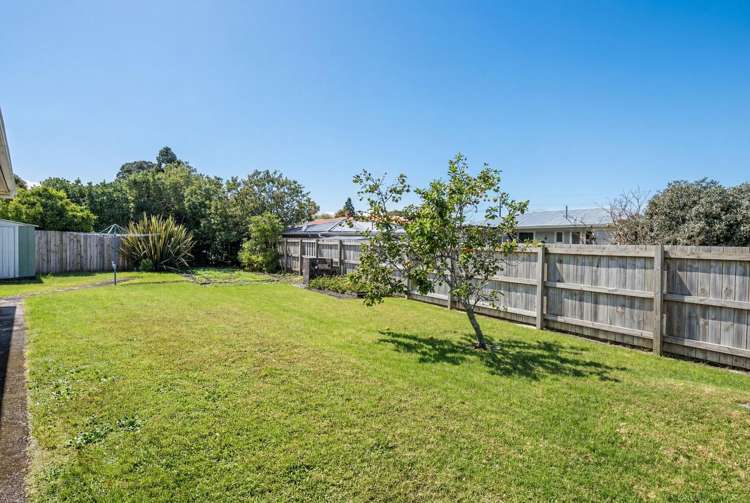 15 Windsor Avenue Te Kamo_4