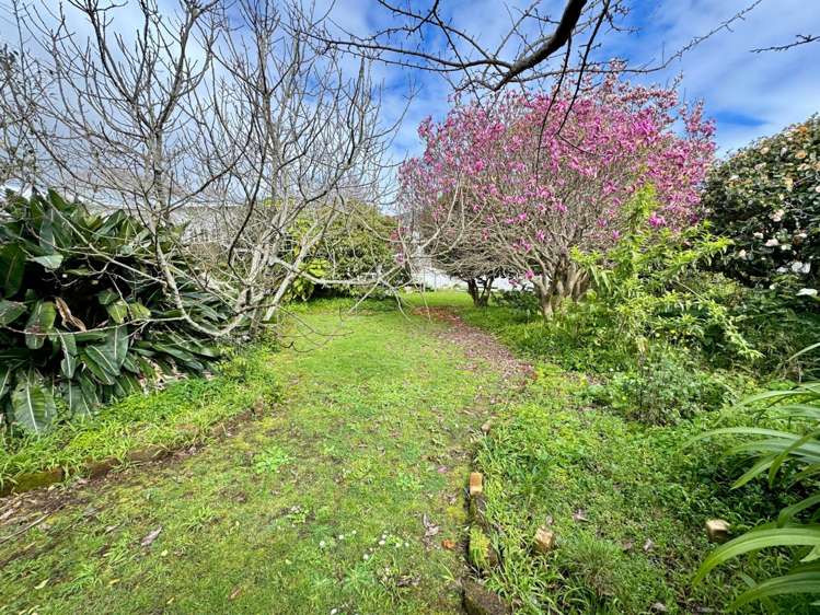 46 Calgary Street Mt Eden_10
