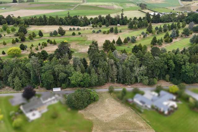 18 Meadowlinks Lane Pleasant Point_2