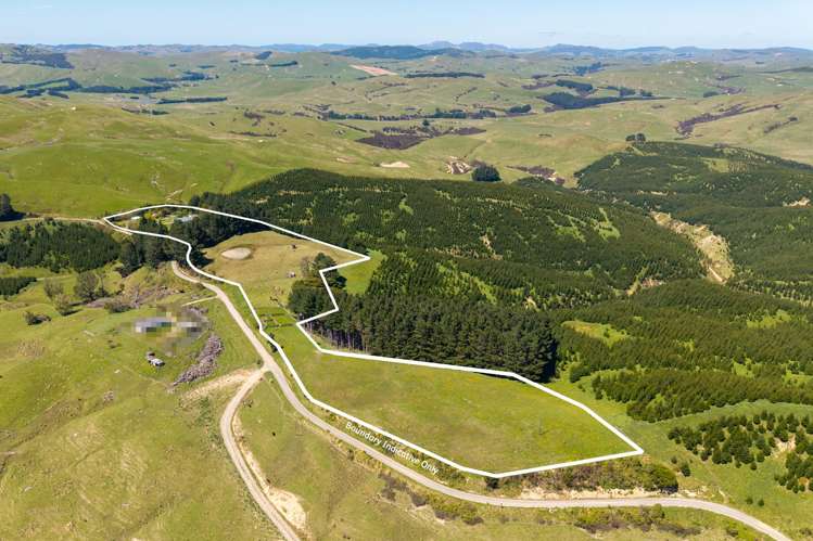 495 Towai Road Waione_20