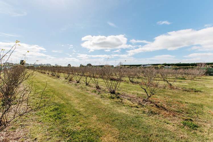36 Hogbin Road Te Teko_24