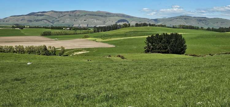 58 Blackhill Road Chatton_11