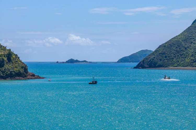 11 Okiwi Crescent Okiwi Bay_19