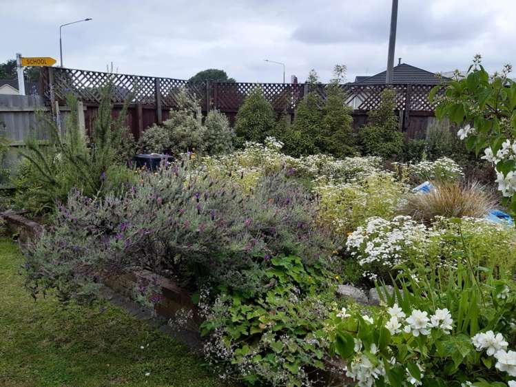 726 Ferry Road Woolston_11