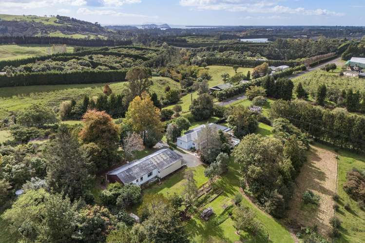 177 Woodland Road Katikati_23