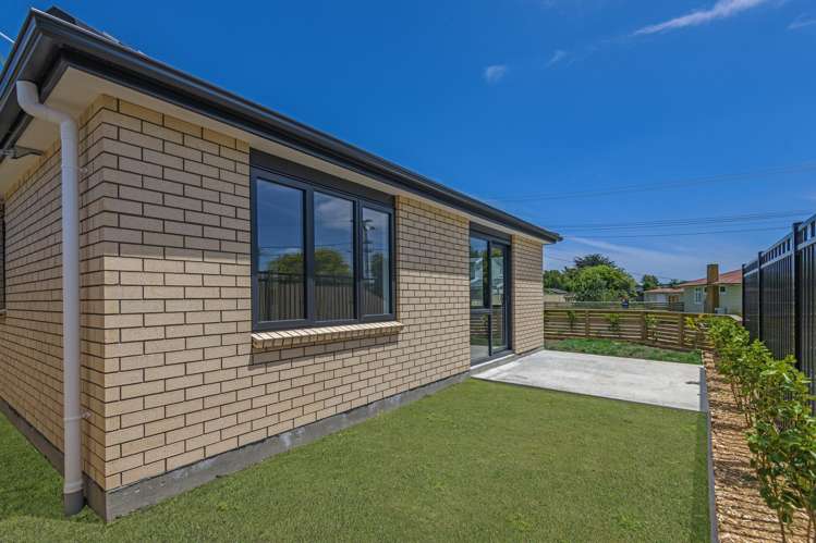 38 Hammond Street Bulls_15