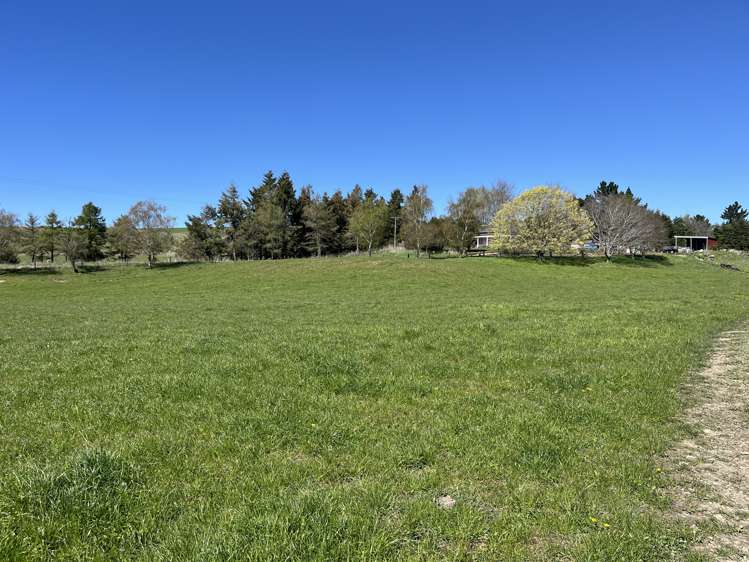 148 Tapui Homestead Road Five Forks and Surrounds_19