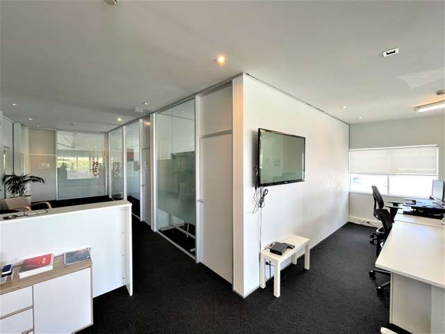 17 Falcon Street Parnell_3