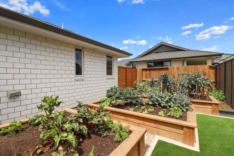 15 Layla Place Katikati_19