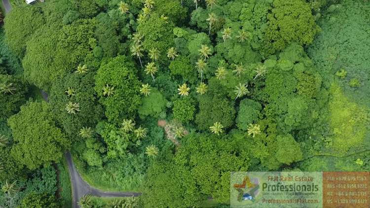 Address withheld Taveuni_16