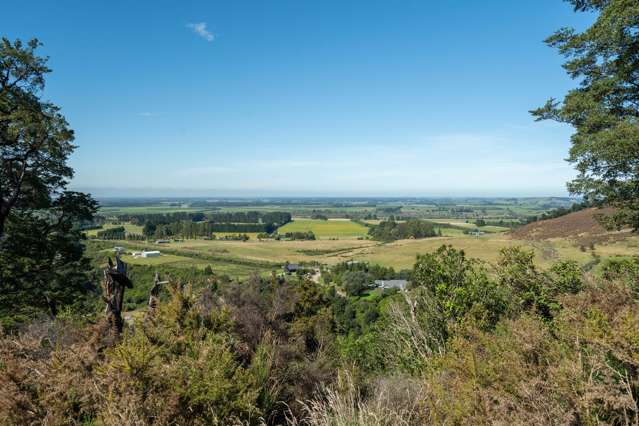 Tuscany Downs - 74 Glentui Bush Road Oxford_3