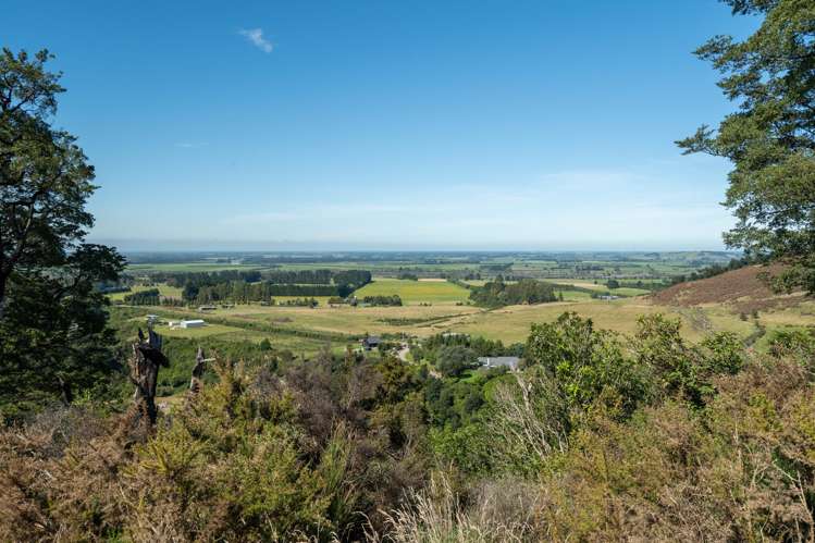 Tuscany Downs - 74 Glentui Bush Road Oxford_3