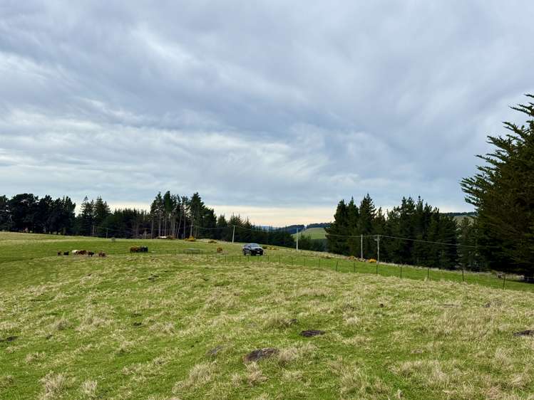 Lot 4 McKenzie Road, Livingstone Duntroon_12