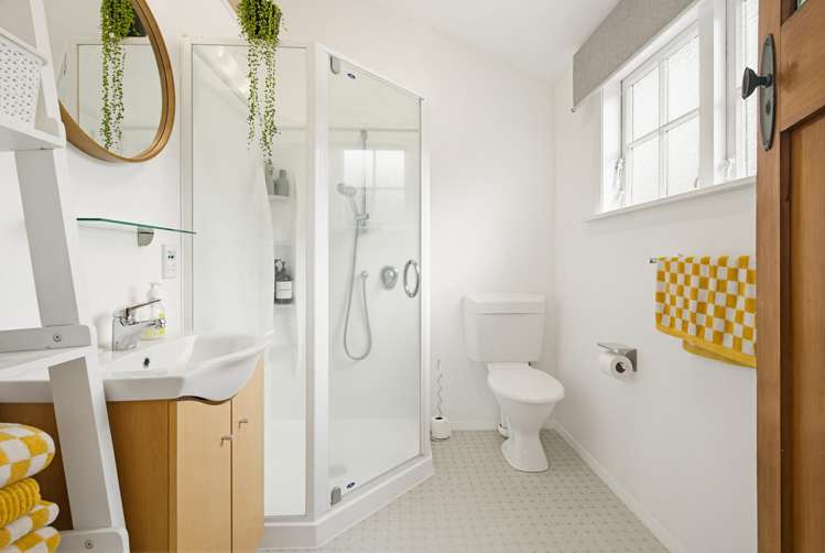 28 Arawa Road Hataitai_11