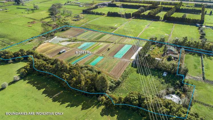 47 Parish Line Road Clevedon_11