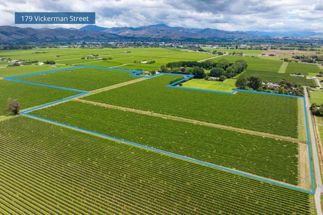 92 Lower Wairau Road Grovetown_4